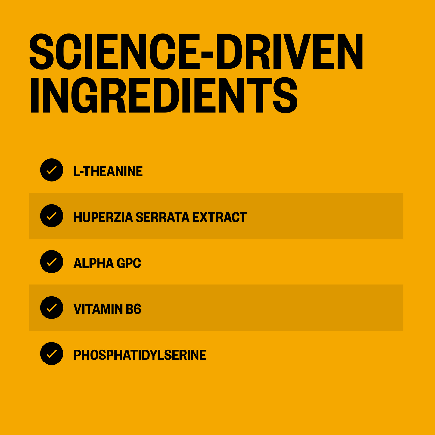 ONNIT Alpha Brain Nootropic Brain Supplement for Men & Women, IGEN™ Non-GMO Tested | Memory, Mental Clarity & Cognitive Improvement | Focus Capsules with L-Theanine, Vitamin B6 (30 Count)