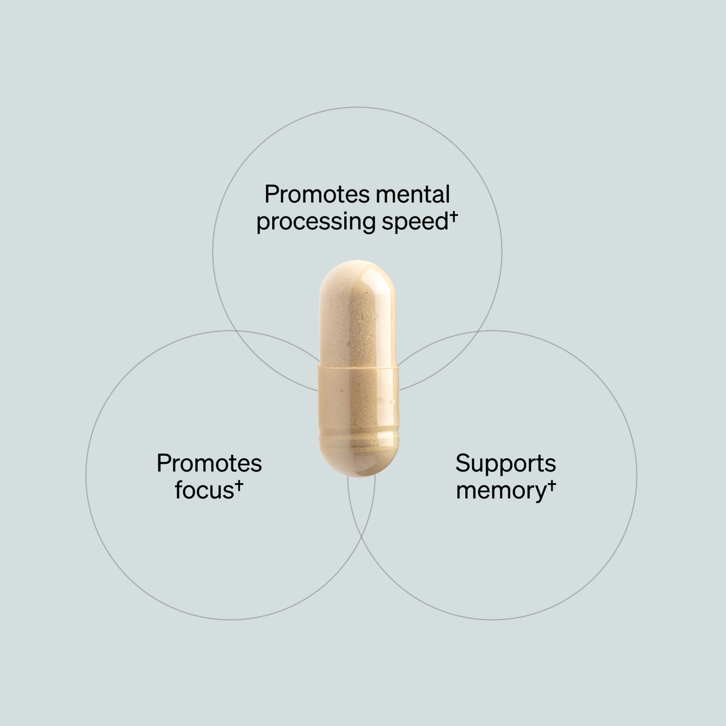 ONNIT Alpha Brain Nootropic Brain Supplement for Men & Women, IGEN™ Non-GMO Tested | Memory, Mental Clarity & Cognitive Improvement | Focus Capsules with L-Theanine, Vitamin B6 (30 Count)