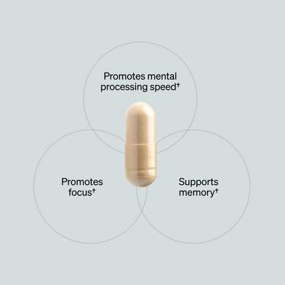 ONNIT Alpha Brain Nootropic Brain Supplement for Men & Women, IGEN™ Non-GMO Tested | Memory, Mental Clarity & Cognitive Improvement | Focus Capsules with L-Theanine, Vitamin B6 (30 Count)