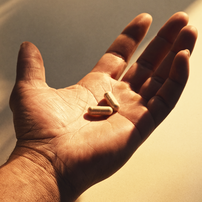 ONNIT Alpha Brain Nootropic Brain Supplement for Men & Women, IGEN™ Non-GMO Tested | Memory, Mental Clarity & Cognitive Improvement | Focus Capsules with L-Theanine, Vitamin B6 (30 Count)